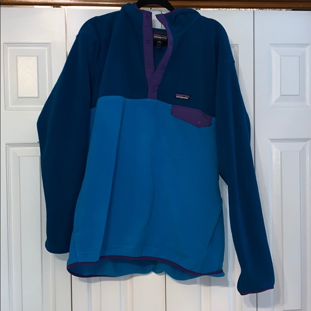 Patagonia Synchilla Hoodie